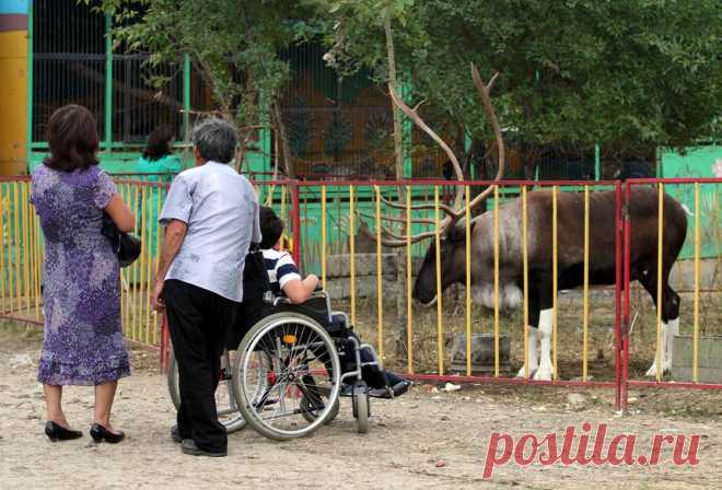 Выход на пенсию родителей детей-инвалидов | Современный предприниматель