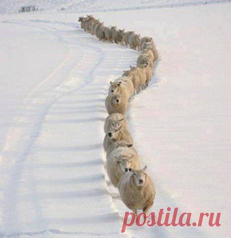 Праздник к нам приходит, праздник к нам приходит ! / Логика моды