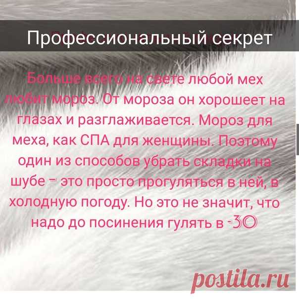 Изольда Семёнова