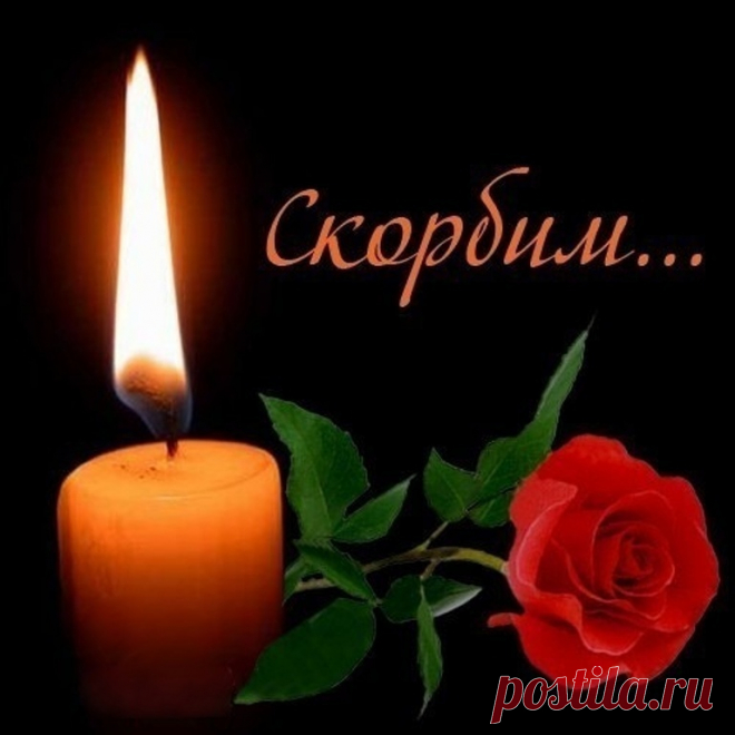 22.03.2024- КРОКУС-ТЕРАКТ