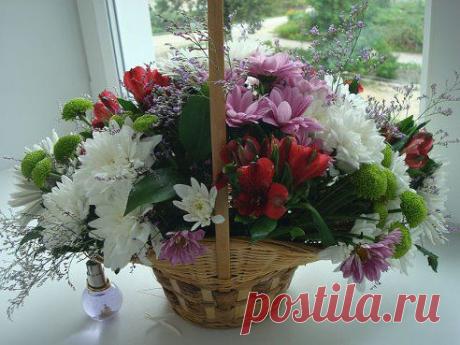 Одноклассники