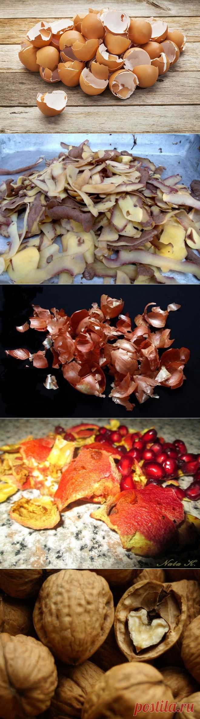 Лекарства из... продуктовых отходов