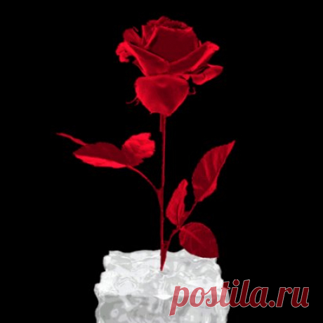 (1) Одноклассники