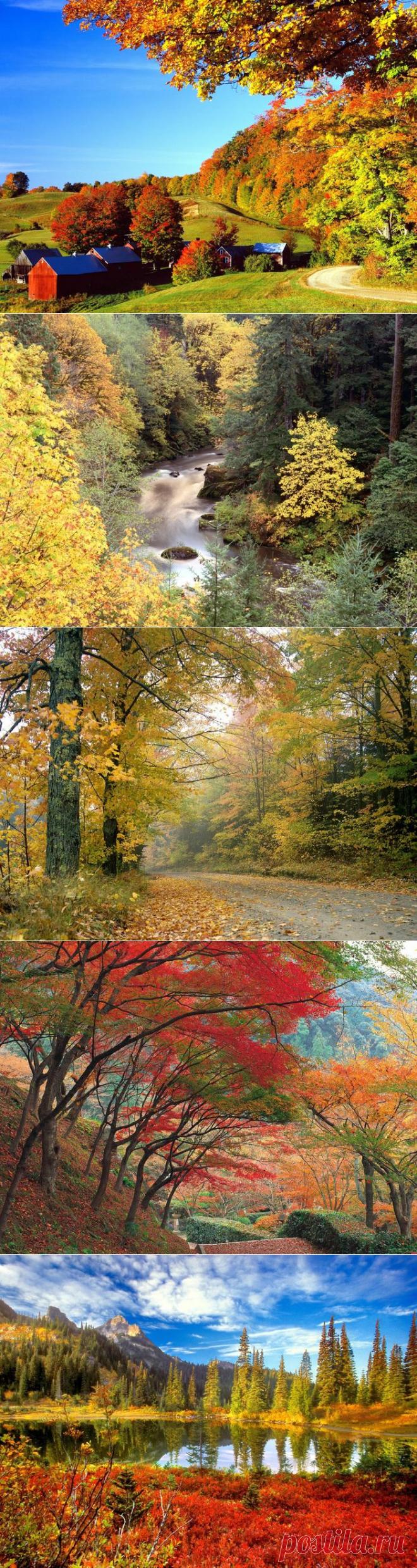 Фото красивой осени для дневника.
