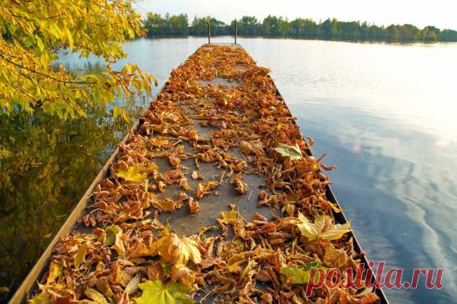 ФОТОМАСТЕРСКАЯ ПРИРОДЫ
АЛЕКСАНДР СТОЛЯРОВ