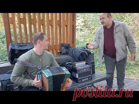 Таких частушек вы еще не слышали🔥 Гармонист Алексей Ольховый