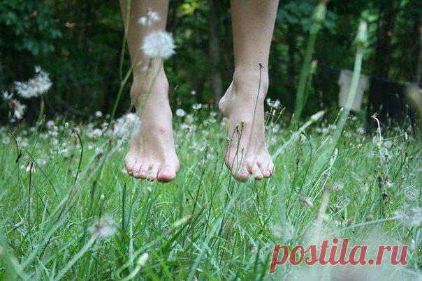 6 советов для лечения трещин на пятках / Популярная медицина