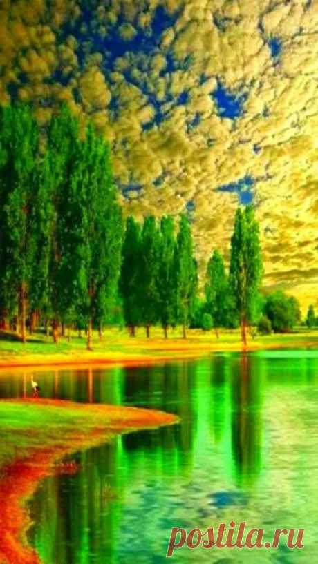 Pinterest (Pin) (157)
