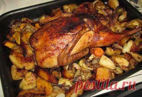 Утка с гречкой и яблоками