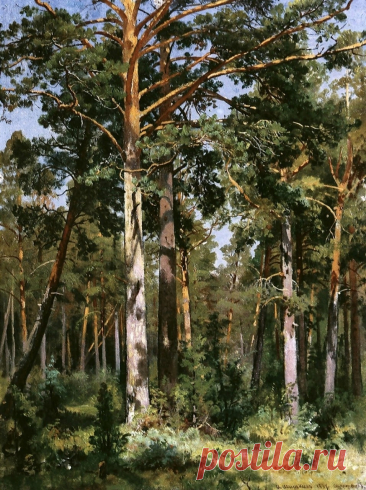 Иван Иванович Шишкин (1832-1898)

«Бор в Сестрорецке» (1887)