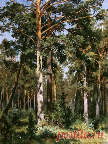 Иван Иванович Шишкин (1832-1898)

«Бор в Сестрорецке» (1887)