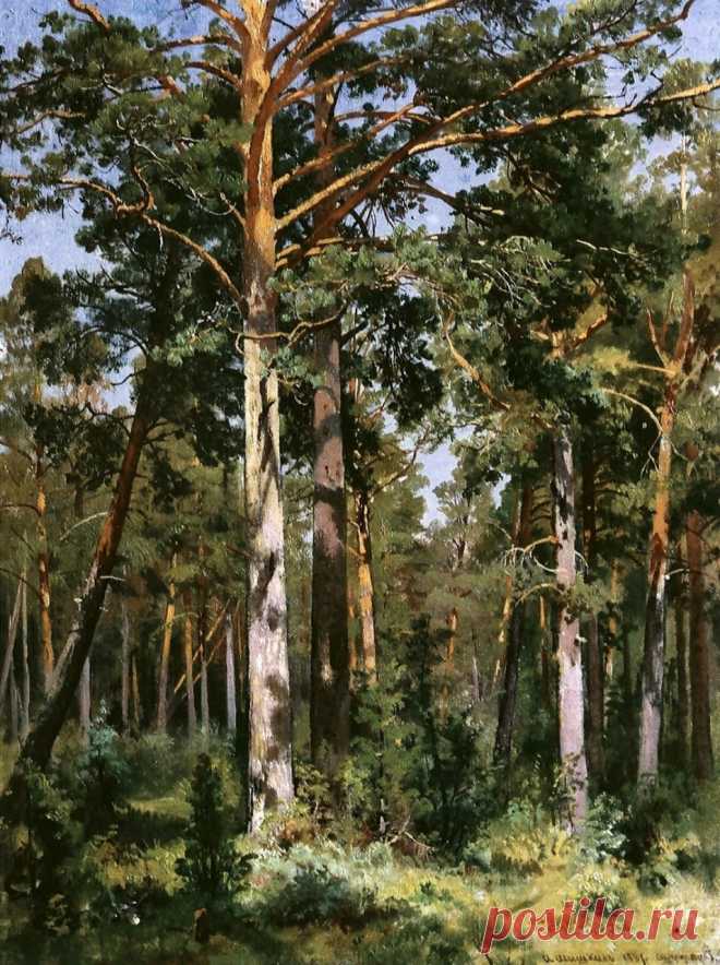 Иван Иванович Шишкин (1832-1898)

«Бор в Сестрорецке» (1887)