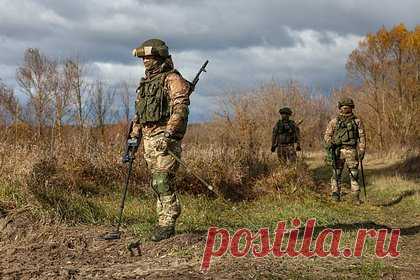 В России высказались о сроках разминирования Курской области