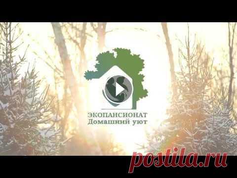 Пансионат для пожилых «Домашний уют» «Домашний уют» — специализированный негосударственный пансионат для пожилых людей, расположенный в одном из наиболее живописных регионов мира, Алтайск...