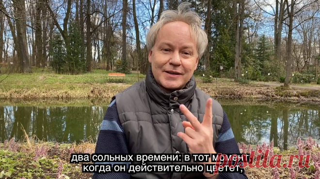 Весна в Саду Души - Белокопытник!