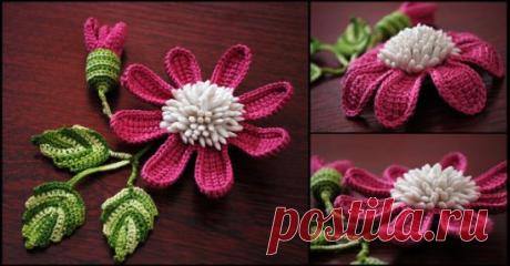 (76) Одноклассники