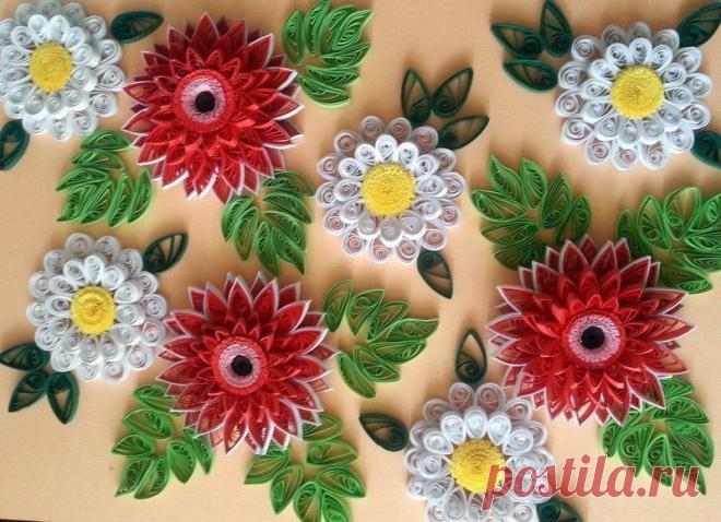 Фотографии на стене сообщества | 32 803 фотографии