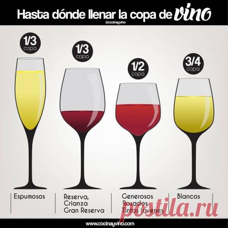 ¿Hasta dónde llenar la copa de vino? | Cocina y Vino