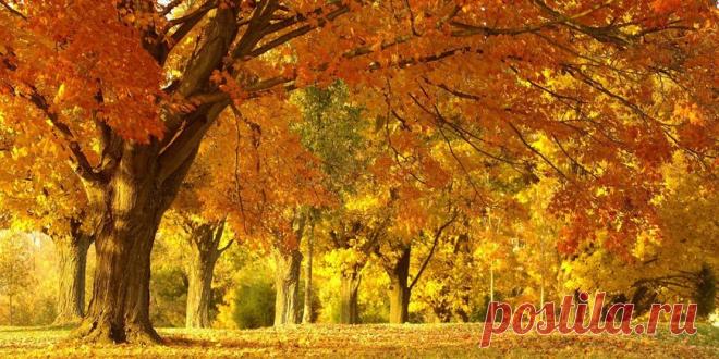 (+1) Гороскоп на октябрь 2016 : Таинственное : Стиль жизни : Subscribe.Ru