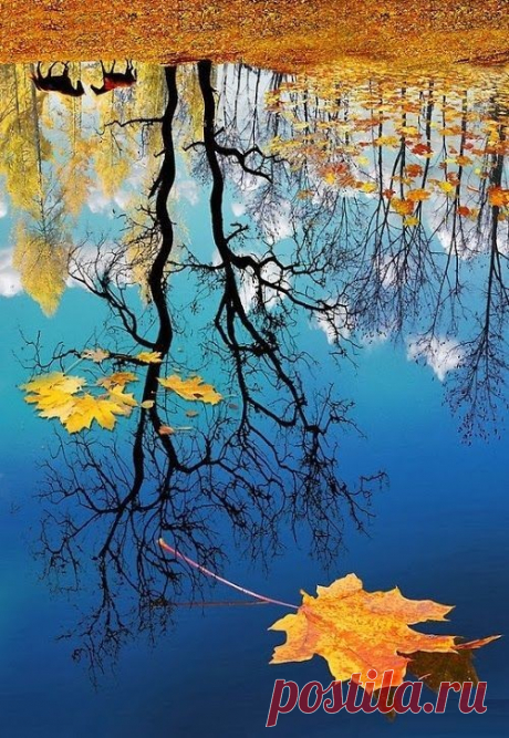 Одноклассники
