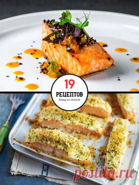 19 самых изысканных блюд из лосося — MOJAKUHNJA.ru