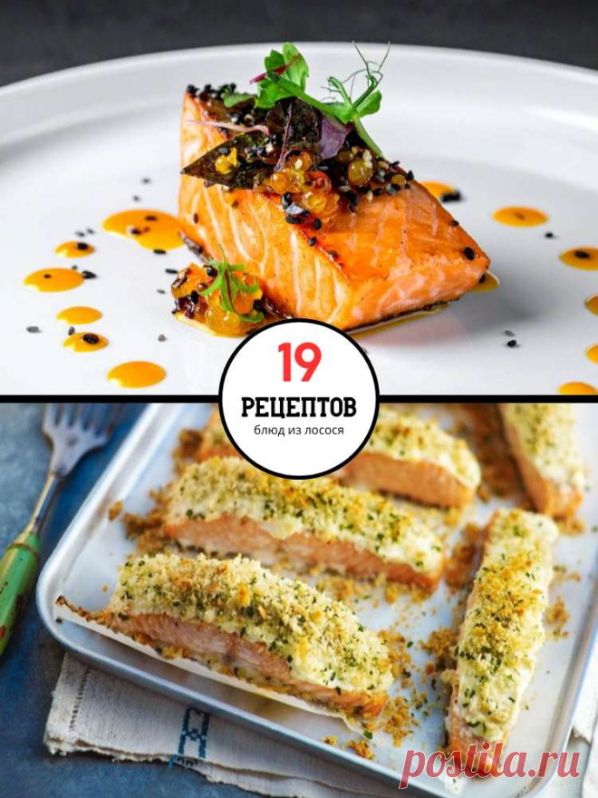 19 самых изысканных блюд из лосося — MOJAKUHNJA.ru