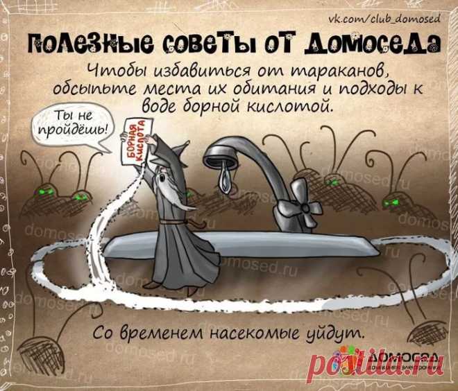 рецепты в картинках на все случаи жизни: 10 тыс изображений найдено в Яндекс.Картинках