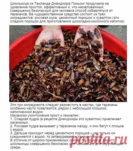 Мой Мир@Mail.Ru