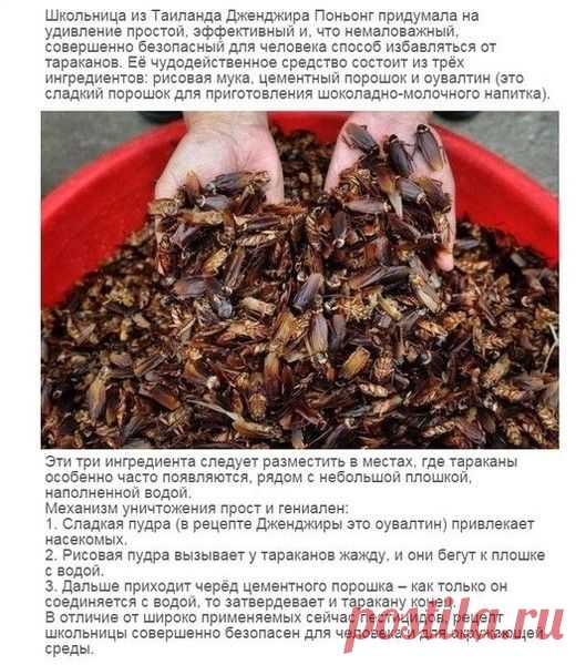 Мой Мир@Mail.Ru