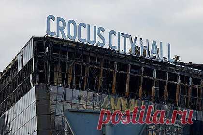 Потерпевшие по делу о «Крокусе» попросили повторно провести экспертизы