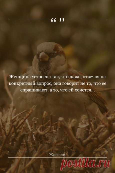 Цитата про «Женщин» — Женщина устроена так, что даже, отвечая на…