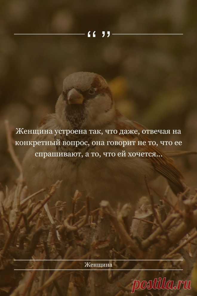 Цитата про «Женщин» — Женщина устроена так, что даже, отвечая на…