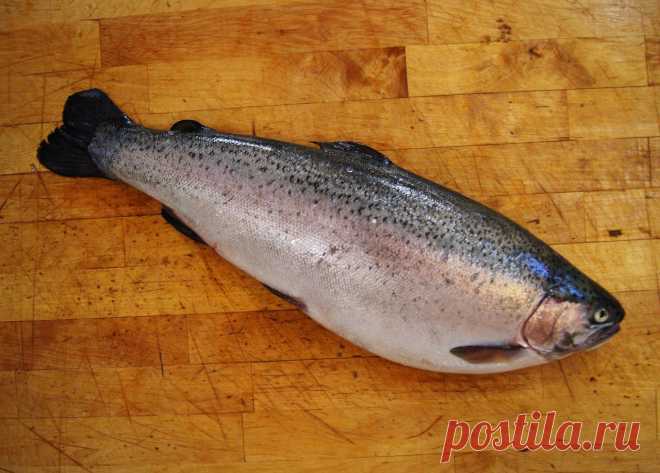 Форель х/к на колене Удивилась сама , удивляю вас