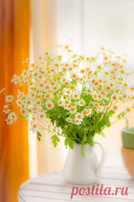 (59) Цветочное настроение🌼