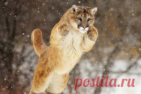 Мой Мир@Mail.Ru