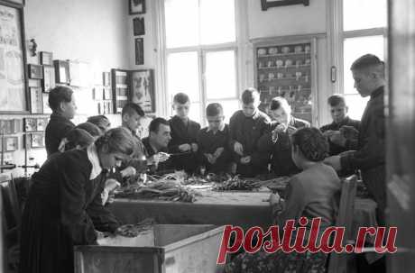 (99) Біла Церква Історичне Фото