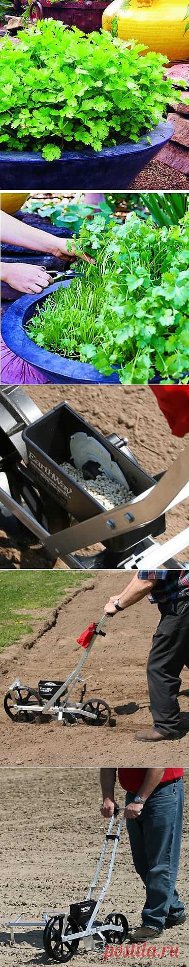 Советы огородникам и садоводам.