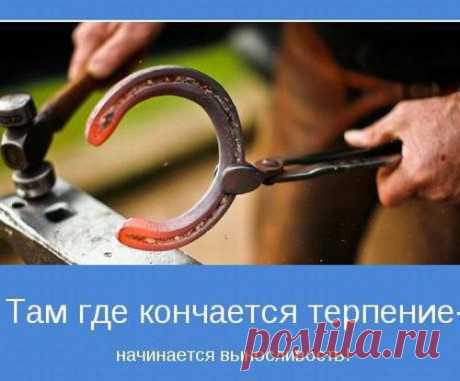 Дома ремонт? Тогда жми! - МирТесен