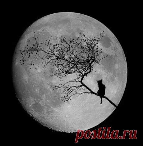 Лечение депрессии гомеопатией.