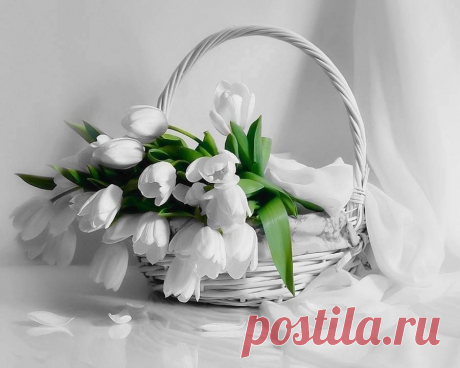 Мой Мир@Mail.Ru