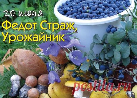 Солнце греет на Федота, Значит, будет славный год! Пусть кипит в руках работа,И во всем всегда везет. Открытки на Федот Урожайник!