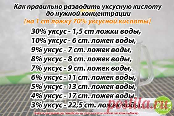 ВКУСНЫЕ САЛАТЫ — Разное | OK.RU