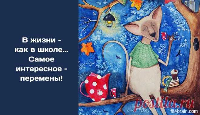 Немного забавной философии – Фитнес для мозга