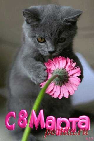 • Самые красивые фото ► vk.com/fotiko ◄