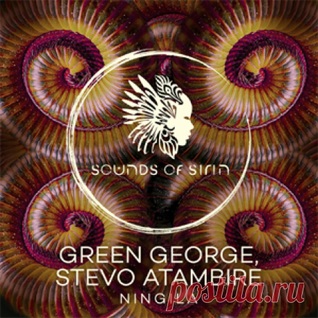 Green George, Stevo Atambire - Ningila | 4DJsonline.com