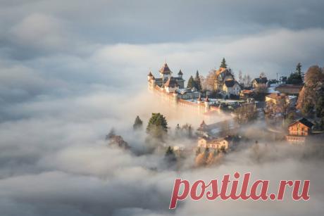 Gallery.ru / Фото #60 - Лучшие фотографии конкурса National Geographic - Vladikana