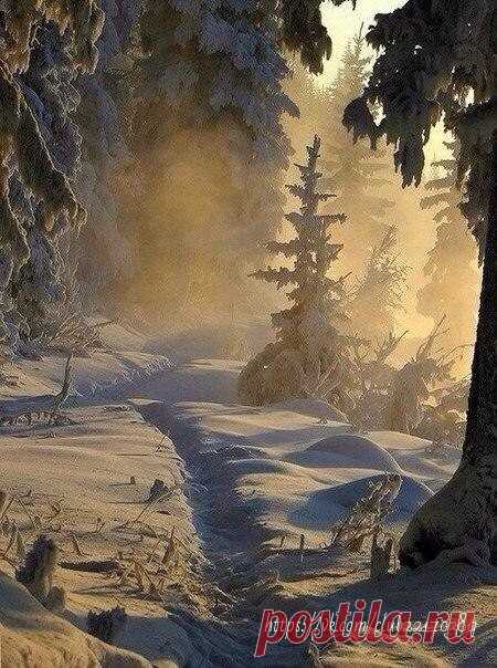 КОЛО 

Чувство времени давит на плечи: 
То в бега..,то стихает в без молвии, 
Даже день превращается в вечер 
Потому что он самый короткий 

В календарь не смотрю я давно,- 
Звезды ближе очам глинамеса, 
В эту ночь глаз своих не сомкну,- 
Свечи жгу для тепла и для света 

Я встречаю зимнее коло, 
Всей душой воспеваю рождение! 
С Колядою мы с детства знакомы, 
Колесом начинаем движение! 

И все выше,до