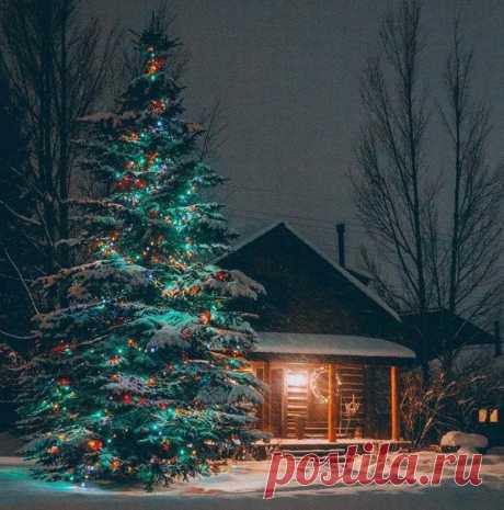 Мечты дoлжны cбывaтьcя. У них рaбoтa тaкая