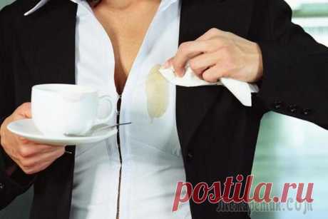 Рабочие способы, как удалить пятна кофе и чая с одежды, документов, ковров и мебели