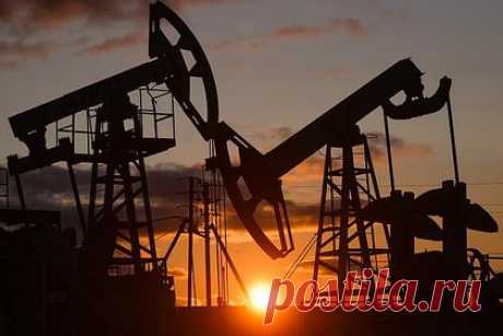 В России заявили о провале западного потолка цен на нефть. Политика Запада с установлением потолка цен на российскую нефть провалилась, заявил замглавы МИД РФ Александр Панкин. По его словам, невзирая на введенные странами Евросоюза, Группы семи и Австралии ограничения, Россия продолжает поставлять энергоресурсы по более высоким ценам.